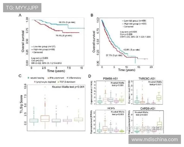 数据分析揭示IG在技术表现上的优势与挑战探讨
