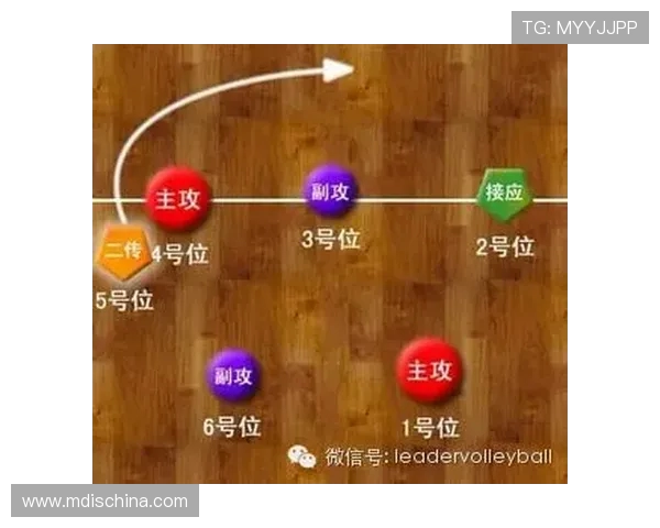 杭州排球队快攻战术解析与深度剖析排球技艺的秘密