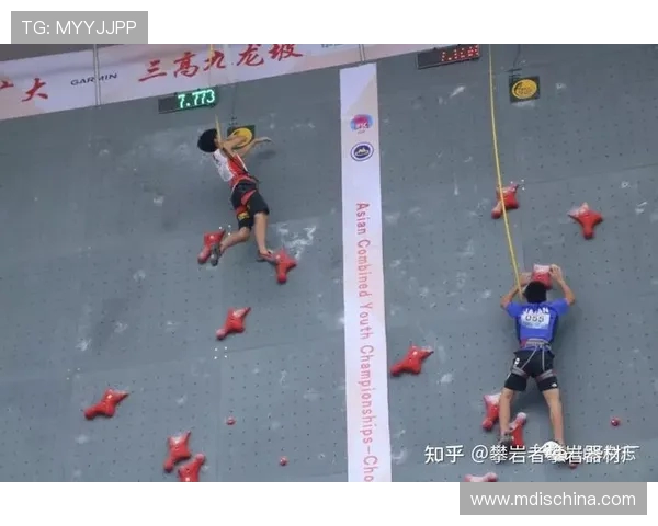 武汉攀岩队在全国攀岩战术排行榜中荣获第九名的佳绩分析
