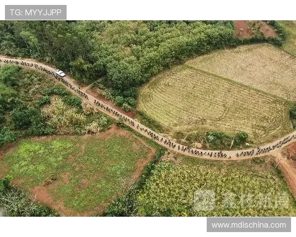 西安与武汉极限运动队赛后分析灵活性表现与战术对比
