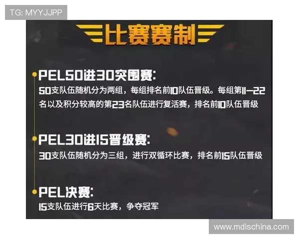 西安飞盘队的默契配合与战术分析探讨之旅