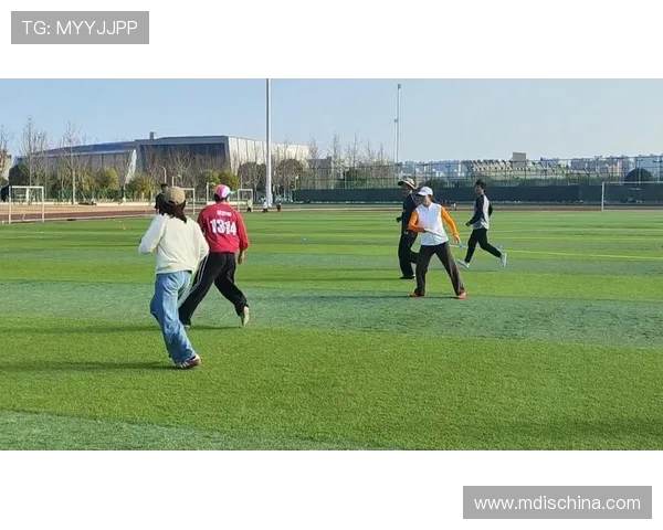 飞盘战术探秘：武汉飞盘队高效反击体系全解析