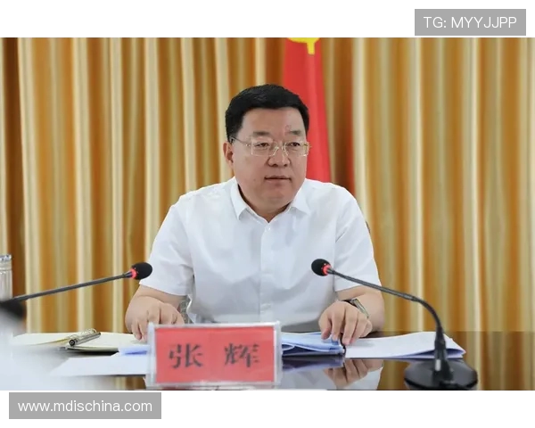 飞盘运动的崛起与黄丽的成功秘诀深度探讨