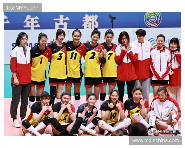 全国女排联赛精彩对决山东女排迎战天津女排争夺冠军荣耀