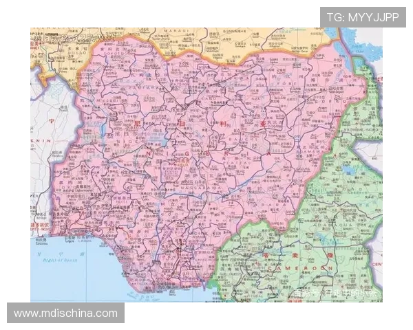 尼日尼亚与几内亚精彩对决直播全程回顾与分析